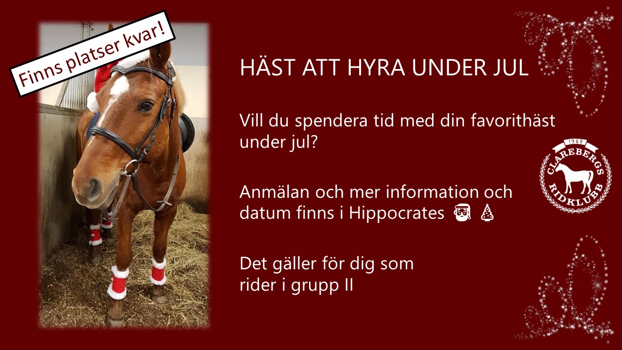 Read more about the article Hyra häst i jul